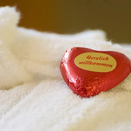 Hotell Haus Linden 3*